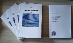 Spiriti_di_Tempesta_ico