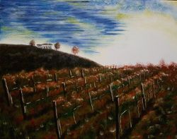 Cieli_di_Collalto_250